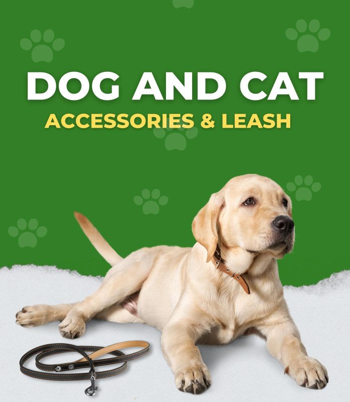 Pet Toys